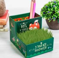 Органайзер растущий "У тебя все получится", 10,5х10 см, 1 шт.