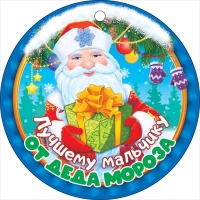 Медаль "Лучшему мальчику от Деда Мороза", 1 шт.