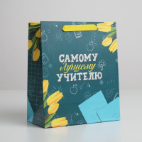 Пакет подарочный (27*23*11,5см), Самому Лучшему Учителю, 1 шт.