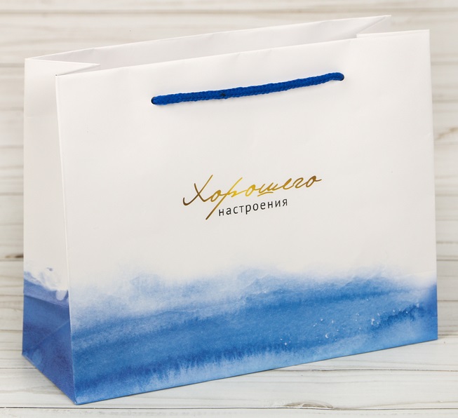 Пакет подарочный (22×17,5×8 см) Гармонии, 1 шт.