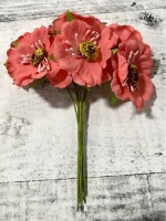 image-26-08-20-10-28-38