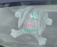 Автоигрушка на присосках "Путаю педали", зайка, 1 шт.