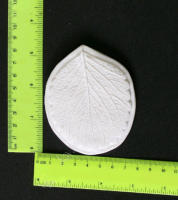 Безымянный