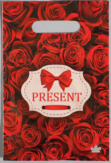 Пакет полиэтиленовый с вырубной ручкой (20*30 см), Презент, 30 мкм, 1 шт.