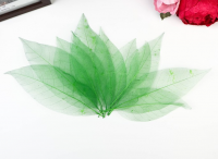 Безымянный