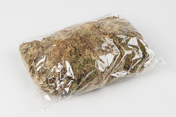 Мох натуральный, зеленый, 50гр.