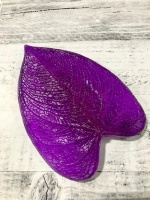 image-26-08-20-10-26-3 (2)