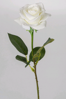 Роза (44см), Келли, Белая, 1 шт.