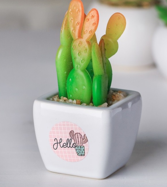 Суккулент в керамическом горшочке (10.5×5.5×6см) Hellо, 1 шт.