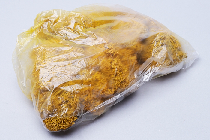 Мох натуральный, стабилизированный желтый, 50мл.