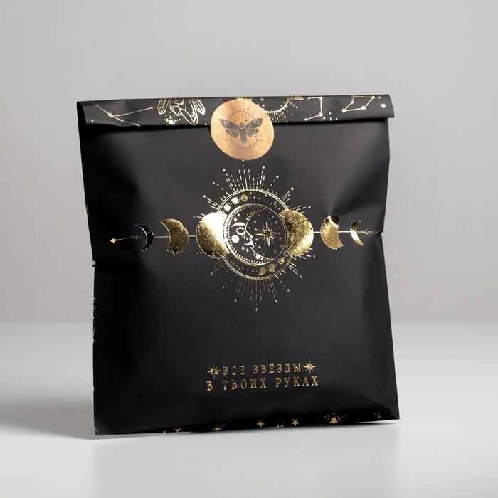 Пакет подарочный (20*30*5 см) Все звезды в твоих руках, 1 шт.