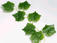 Лиана виноградная (3 м), зеленый, 1 шт.