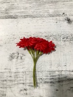 image-26-08-20-10-28-19