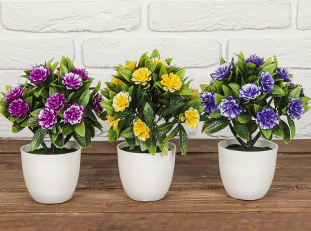 Бонсай (9*19см) Цветы крупные, микс, 1 шт.