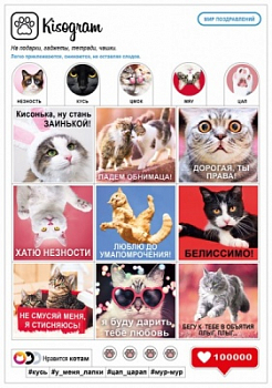 Наклейки-стикеры, Kisogram, 1 шт.