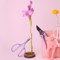 Кензан Oasis Серебро D-5см, 1 шт.