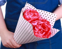 Бумага крафт (50*70см), Чёрный горох, серия Пантон, 1 шт.