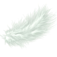 Перья Белые, 30 шт. 