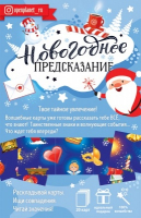 Набор "Пасьянс Новогоднее предсказание", 1 шт.