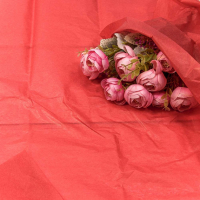 Бумага упаковочная тишью (50*65см), Красный, 10 шт.