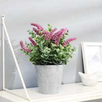 Бонсай (10*22 см) Мускари гроздевидный, микс, 1 шт.