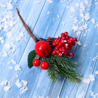 Декор (17см), Зимние грезы, яблоко красная калина, 1 шт.