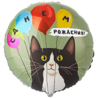 Шар (18"/45см) Круг, ДР Кот и воздушные  шары, 1 шт.