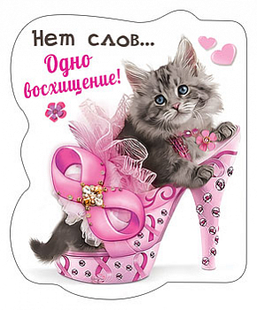 Виниловый магнит (7,1*8,7 см) "Нет слов- одно восхищение!"