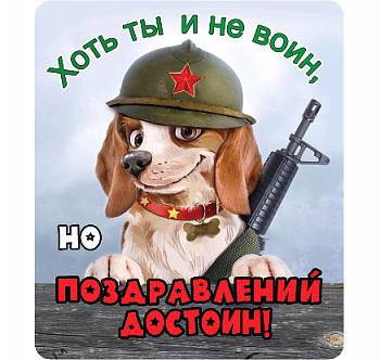 Виниловый магнит (6*7см), Хоть ты и не воин, но поздравлений достоин!, 1 шт.