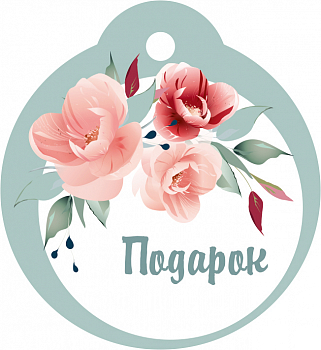 Бирка (5,5*6 см) "Подарок", 1 шт.