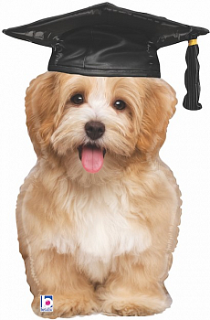 Шар (32''/81 см) Фигура, Щенок Выпускник, 1 шт. Шар (32''/81 см) Фигура, Щенок Выпускник, 1 шт.