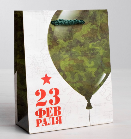 Пакет подарочный (23*27*8см), С Праздником, 1 шт.