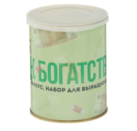 Растущая травка в банке "Фикус к богатству!", 1 шт.