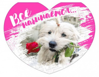 Открытка-отношение (10,4*8см), "Все начинается...", 1 шт.