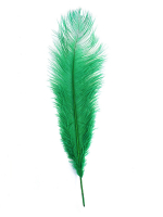 Перья, Зеленые, 100 шт.