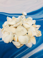 Набор ракушек, 150 гр.