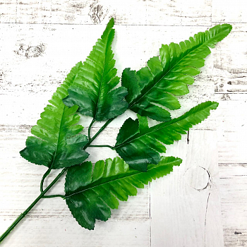 Лист папоротника Орляк (27/43см), 5 листьев, микс, 1 шт.