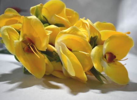 Букет (40 см) Орхидеи, МИКС, 1 шт.