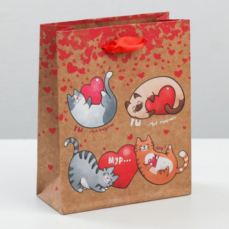 Пакет подарочный (18*23*8см), Ты мое счастье! Мур!, 1 шт.