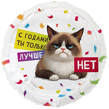 Шар (18"/45см) Круг, С ГОДАМИ ТЫ ЛУЧШЕ Кот Сердитый, 1 шт.