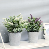 Бонсай (10*22 см) Мускари гроздевидный, микс, 1 шт.