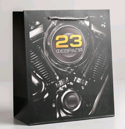 Пакет подарочный (23*27*11,5см), 23 февраля, 1 шт.