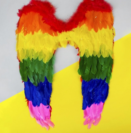 Крылья ангела разноцветные, 60*50, 1 шт.