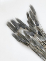 Лагурус (60см), Серый, 30 шт.