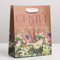 Пакет подарочный (18*23*8см), Сияй, крафт, 1 шт.
