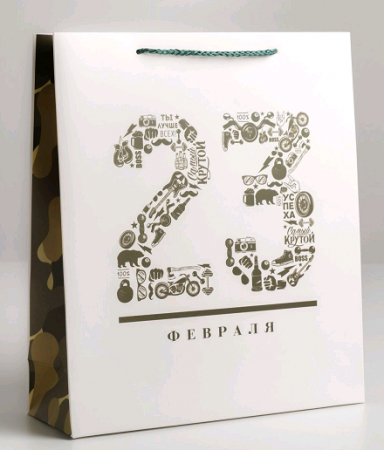 Пакет подарочный (26*30*9см), 23 февраля, 1 шт.