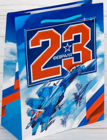 Пакет подарочный (23*27*8см), 23 февраля, 1 шт.