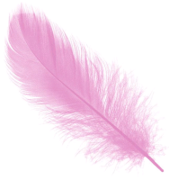Перья, Нежно-розовые, 30 шт.