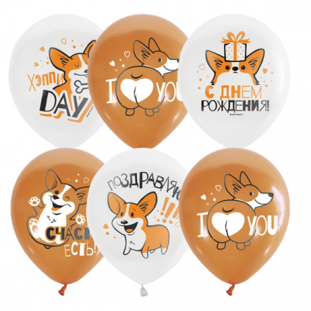 Шар (12"/30см) Корги с ДР, WHITE&ORANGE 1 ст. 2 цв, 4 шт.