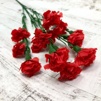 Ветка гвоздики мелкой (60см), Микс, 1 шт.